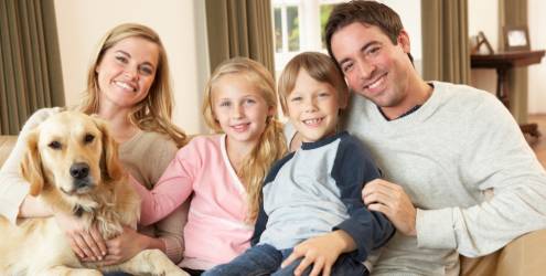 Cães ajudam a manter o equilíbrio emocional da família Cães ajudam a manter o equilíbrio emocional da família