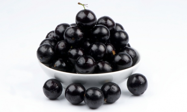Jabuticaba: nossa pequena é notável Jabuticaba: nossa pequena é notável