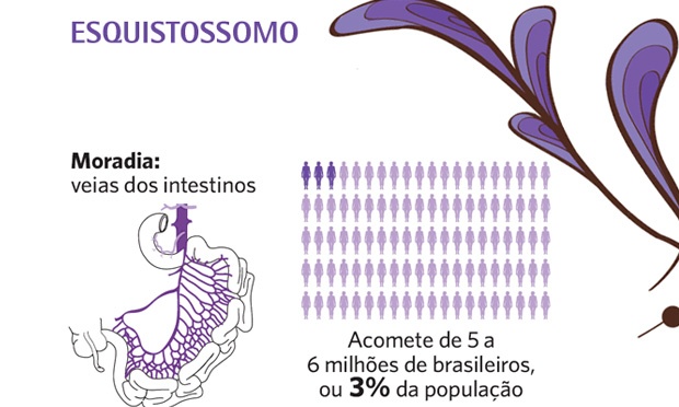 Quais são os vermes mais comuns no corpo humano? Quais são os vermes mais comuns no corpo humano?