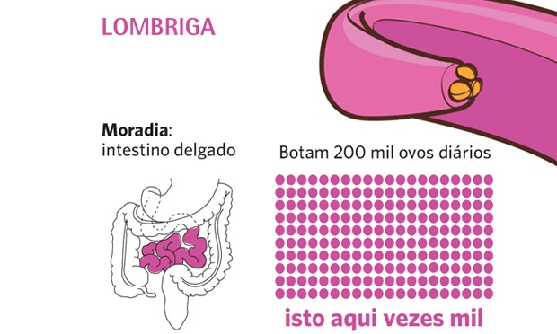 Quais são os vermes mais comuns no corpo humano?