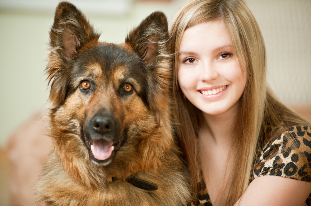 Convulsão: como socorrer o seu cão