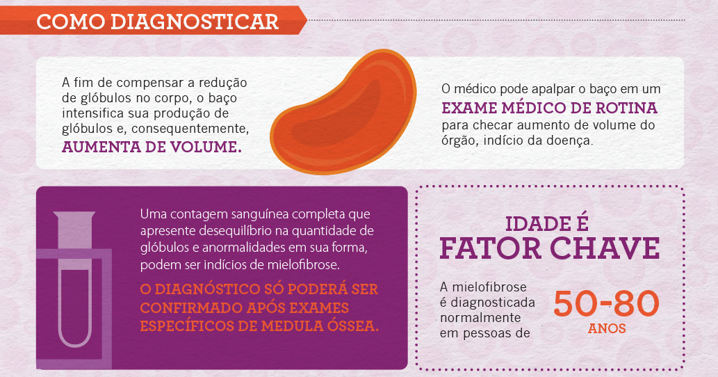 Divulga&ccedil;&atilde;o