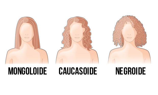 Ilustração Ilustração