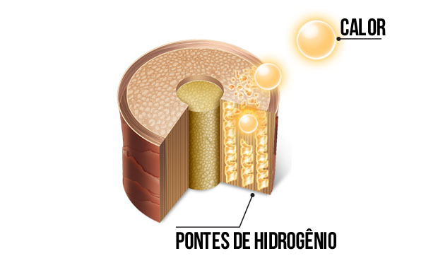 Ilustração Ilustração