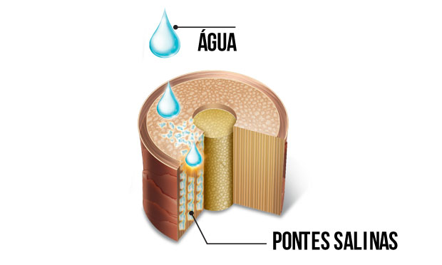 Ilustração Ilustração