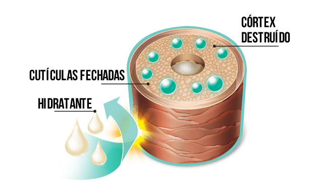 Ilustração Ilustração