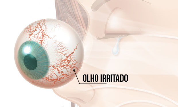 Ilustração Ilustração