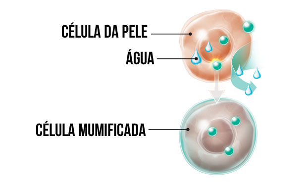 Ilustração Ilustração