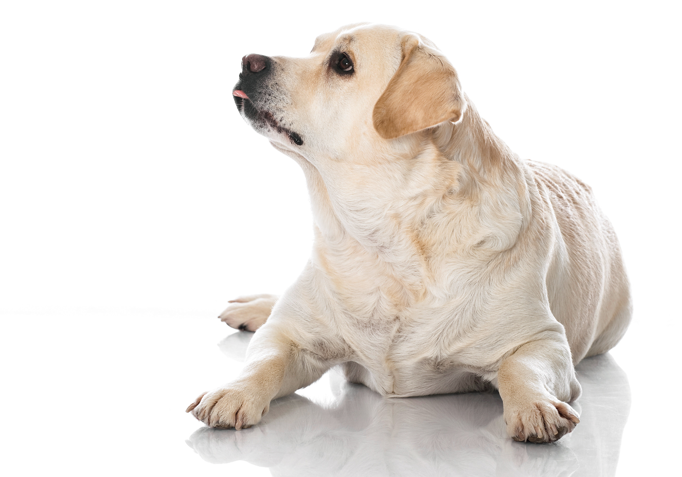 Istock