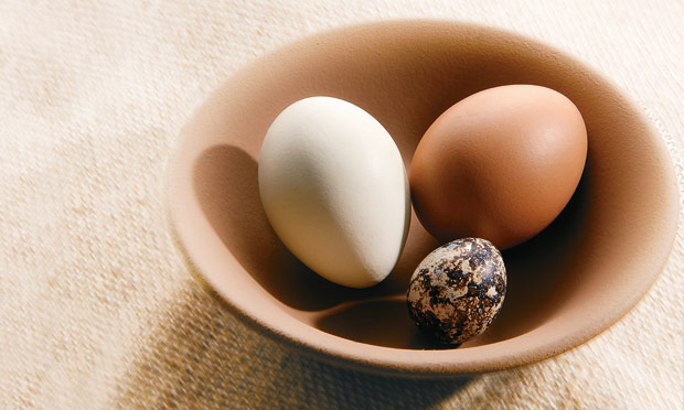As principais diferenças entre o ovo de codorna e o de galinha | Veja Saúde