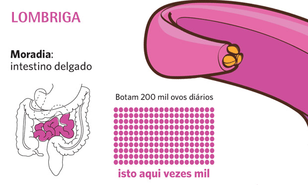 Lombriga Lombriga