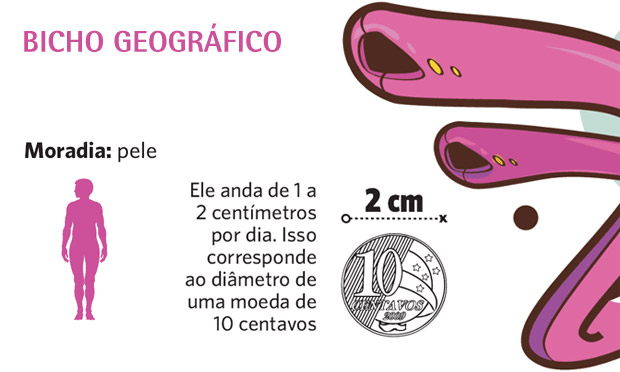 Bicho geográfico Bicho geográfico