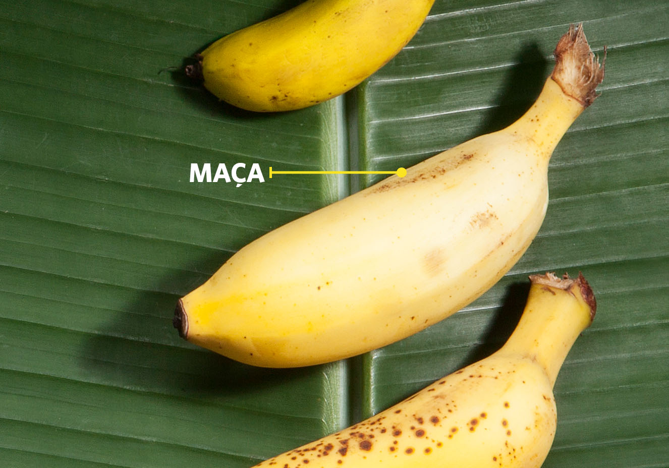 Todo dia é dia de banana | Veja Saúde Todo dia é dia de banana | Veja Saúde