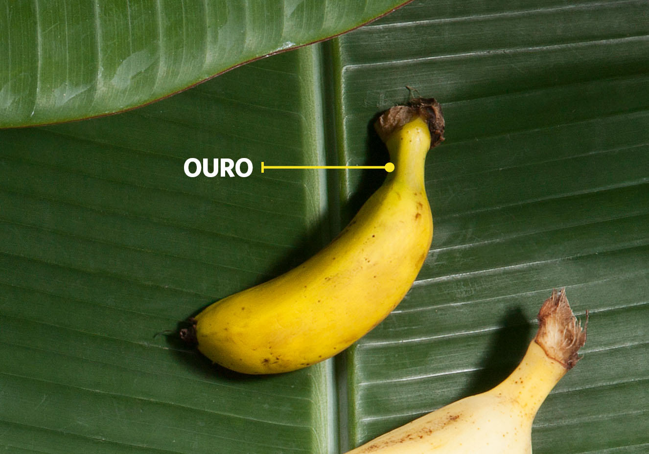 Todo dia é dia de banana | Veja Saúde Todo dia é dia de banana | Veja Saúde