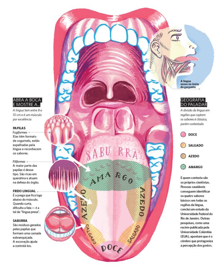 O que a aparência da sua língua tem a dizer sobre sua saúde? - 15/04/2020 -  UOL VivaBem