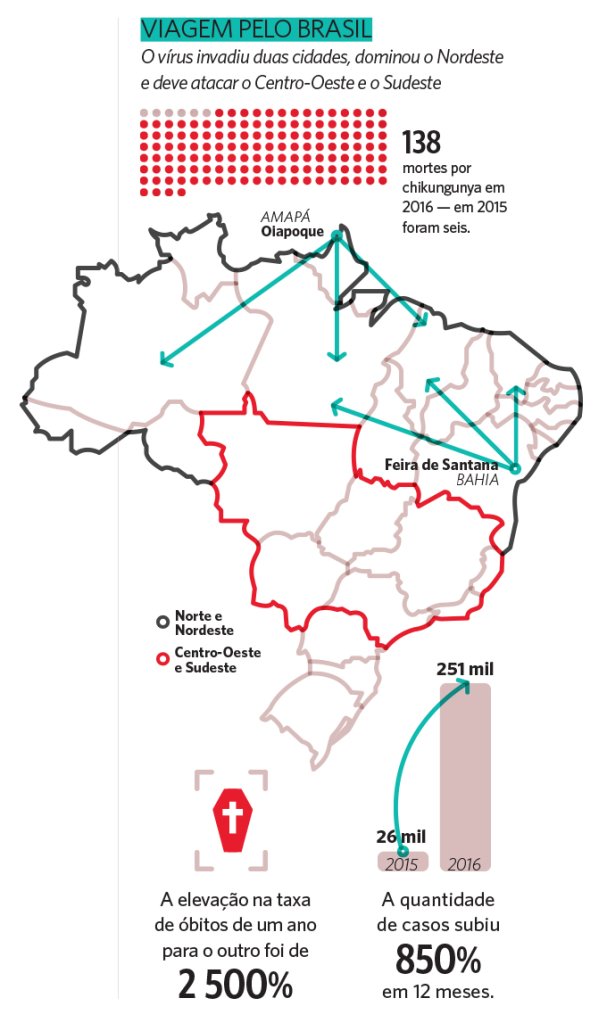 Aedes aegypti: sempre ele | Veja Saúde