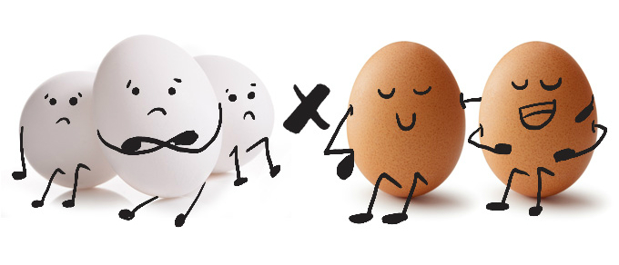 Consumir um ovo cozido por dia ajuda a reduzir a fadiga muscular e a ansiedade 