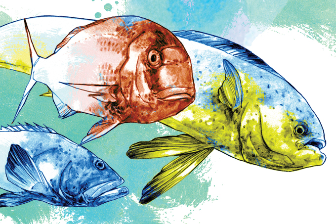 Conheça os benefícios de 40 tipos de peixe | Veja Saúde
