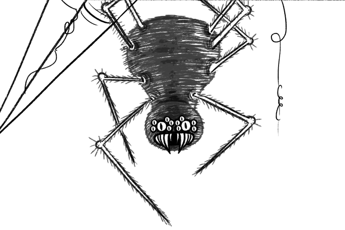 veneno-aranha-disfunção-erétil