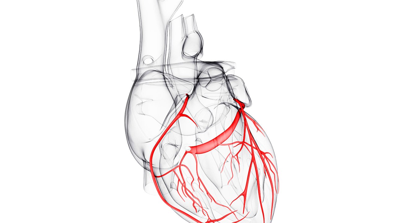 doenças-cardiovasculares-coração