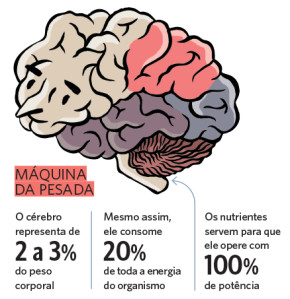 neuromitos-gráfico