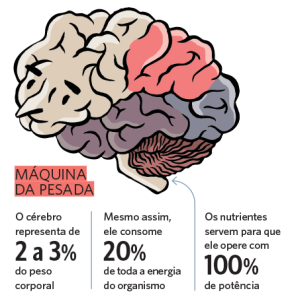 Mito do uso de 10% do cérebro – Wikipédia, a enciclopédia livre