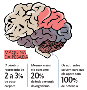 O mito do uso de 10% do cérebro