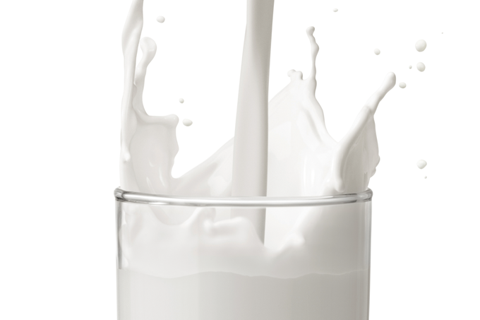 hipotireoidismo tireoide leite iogurte queijo laticínios prejudicam tratamento