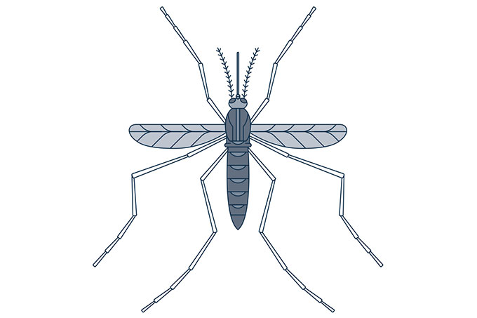 o que é a febre amarela