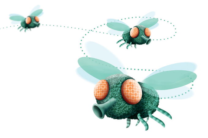 moscas, contaminação, comida, mosca na sopa