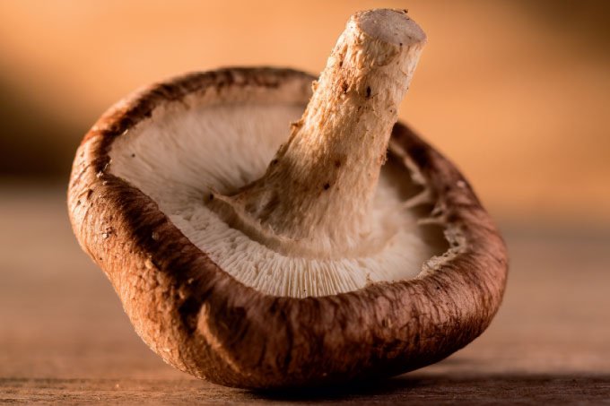Sabe de onde vem o cogumelo que você come? 
