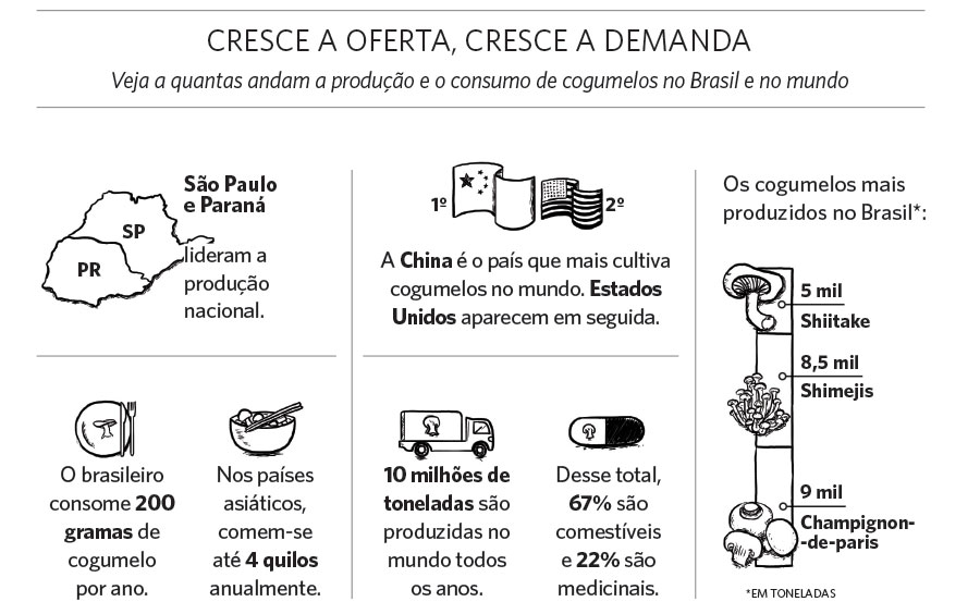 cogumelos consumo no brasil