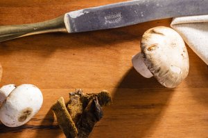 Cogumelos: da compra ao uso na culinária saudável