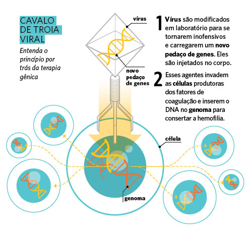 hemofilia como tratar remédio genética