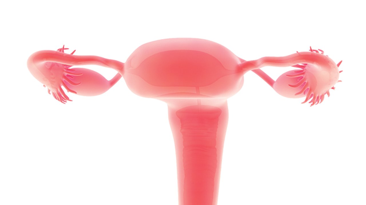 ovários policísticos como engravidar tratamento menstruação