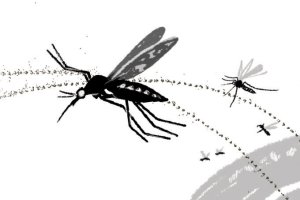 Repelente para mosquito da febre amarela