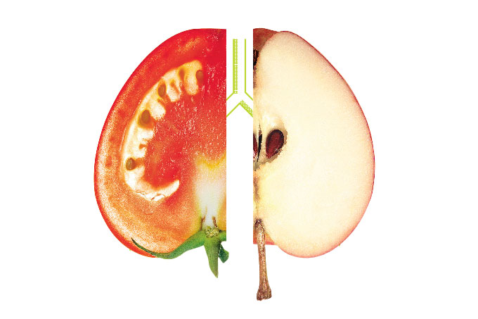 Segundo estudo, comer mais tomate e maçã traz benefícios ao pulmão