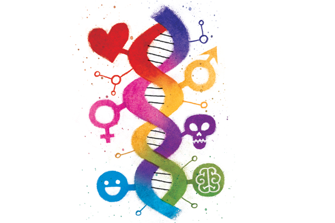 valor de exame de dna e função para o coração