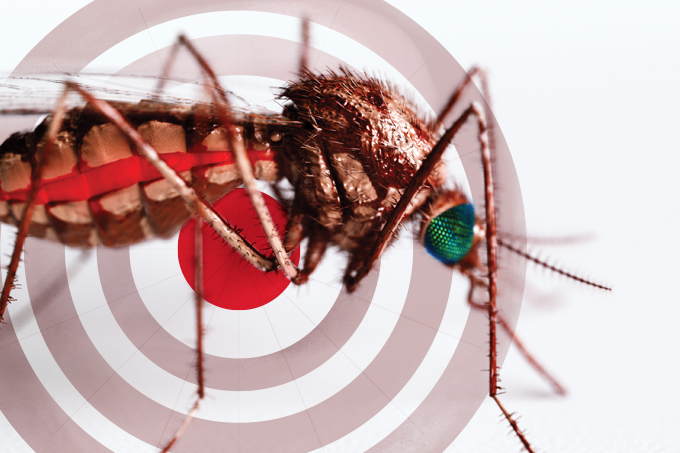 dengue e febre amarela: semana nacional de combate ao aedes