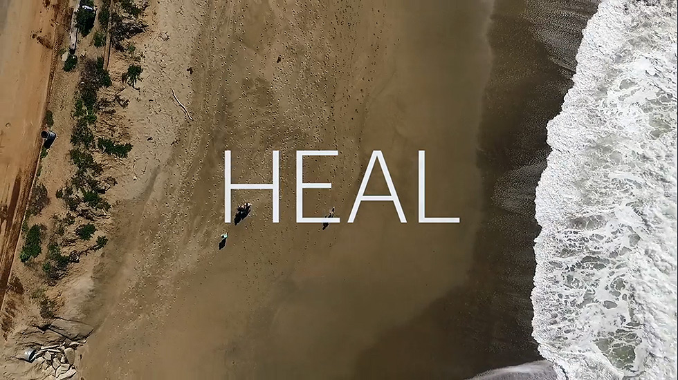 heal, documentario netflix