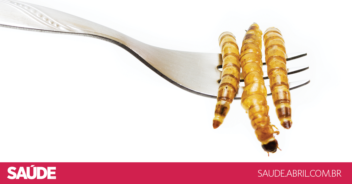 Comer Inseto Faz Bem Ao Intestino Mostra Estudo Veja Saude
