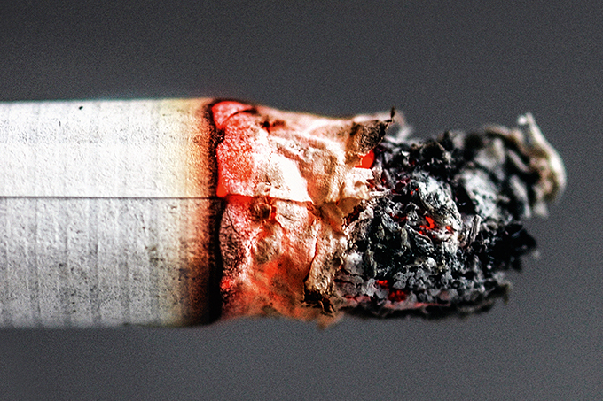 como cigarro age no organismo