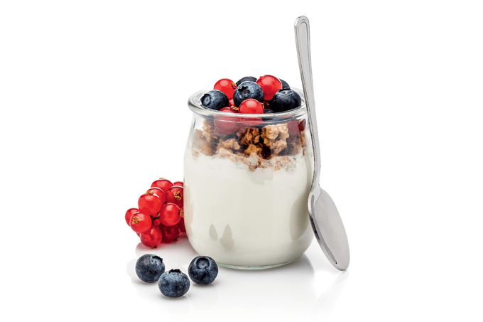iogurte com proteina