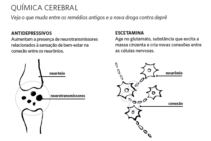 Química cerebral