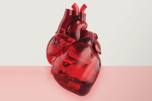 Fatpres de risco para doenças cardíacas