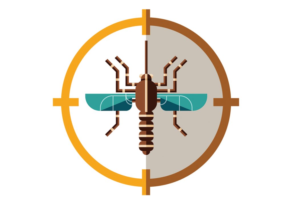 casos de dengue em 2019