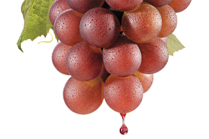 Quais são os benefícios do suco de uva?