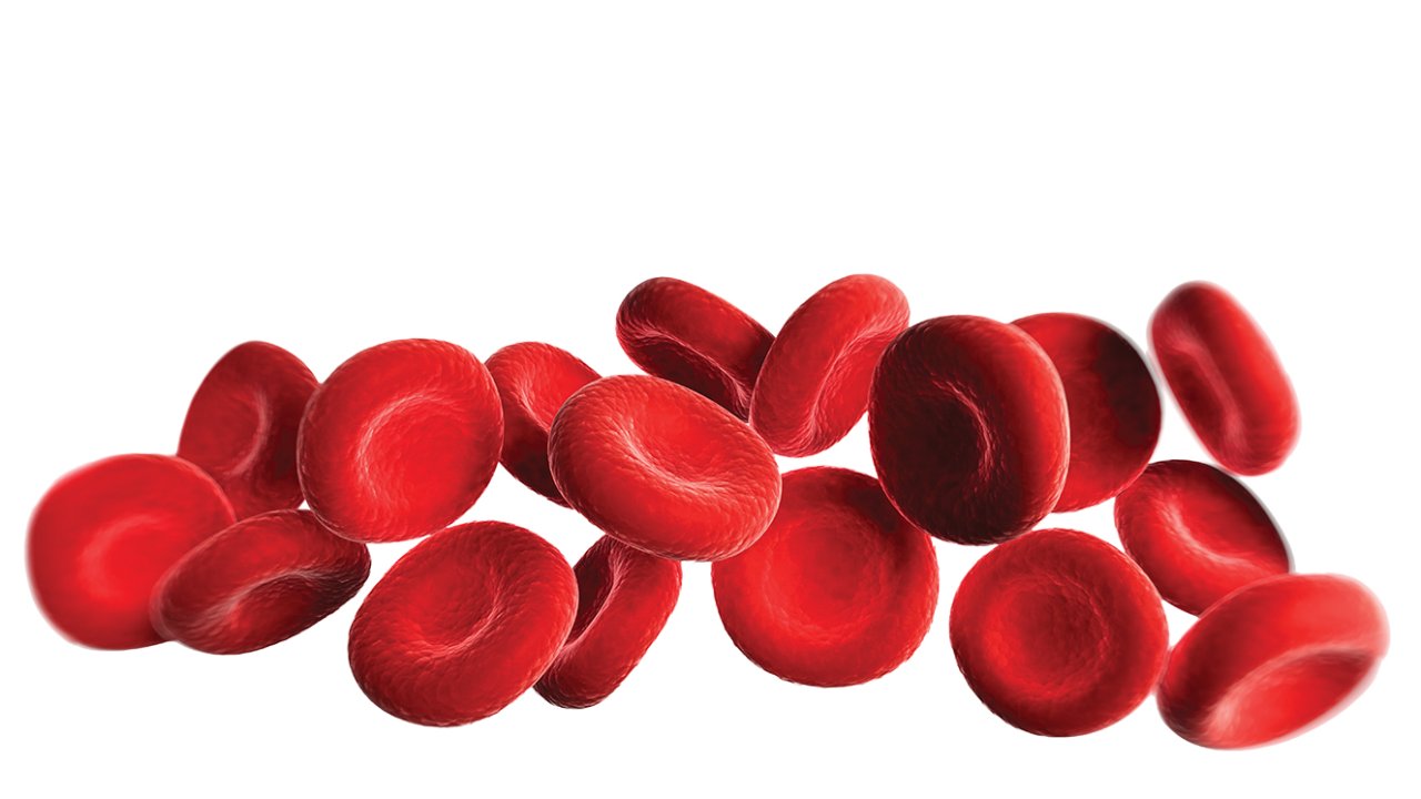sintomas da anemia ferropriva