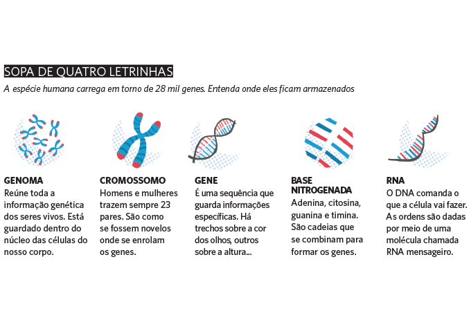 Os Genes Ao Nosso Alcance Veja Saúde