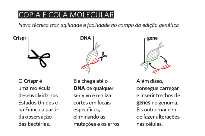 Os genes ao nosso alcance | Veja Saúde